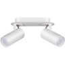 Спот ODEON LIGHT CORSE 3873/2C