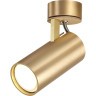 Светильник спот ODEON LIGHT CORSE 3876/1C