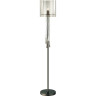 Торшер ODEON LIGHT NICOLE 4890/1F