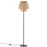 Торшер ODEON LIGHT PENDANT KRESSA 4992/1F