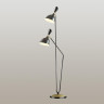 Торшер ODEON LIGHT RASTO 4665/2F