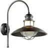 Уличный настенный светильник ODEON LIGHT NATURE DANTE 4164/1WA