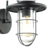 Уличный настенный светильник ODEON LIGHT NATURE HELM 4171/1W