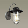 Уличный настенный светильник ODEON LIGHT NATURE HELM 4171/1W