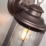Уличный настенный светильник ODEON LIGHT NATURE MAVRET 4961/1W