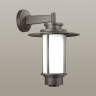 Уличный настенный светильник ODEON LIGHT NATURE MITO 4047/1W