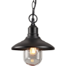 Уличный подвесной светильник ODEON LIGHT NATURE CAMPA 4965/1