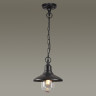 Уличный подвесной светильник ODEON LIGHT NATURE CAMPA 4965/1