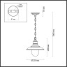 Уличный подвесной светильник ODEON LIGHT NATURE CAMPA 4965/1