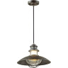 Уличный подвесной светильник ODEON LIGHT NATURE DANTE 4164/1