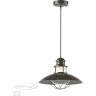 Уличный подвесной светильник ODEON LIGHT NATURE DANTE 4164/1