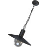 Уличный подвесной светильник ODEON LIGHT NATURE FURCADIA 4833/1