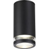 Уличный потолочный светильник ODEON LIGHT MOTTO 6605/1C