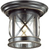 Уличный светильник ODEON LIGHT NATURE SATION 4045/1C