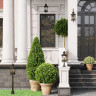 Уличный светильник ODEON LIGHT NATURE SATION 4045/1C