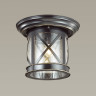 Уличный светильник ODEON LIGHT NATURE SATION 4045/1C