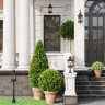 Уличный светильник ODEON LIGHT NATURE SATION 4045/3F