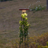 Уличный встраиваемый светильник ODEON LIGHT LIANA 7108/15GL