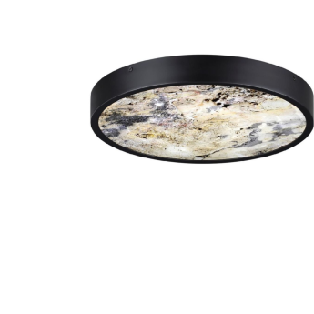 Настенно-потолочный светильник ODEON LIGHT BERGI 5064/24L